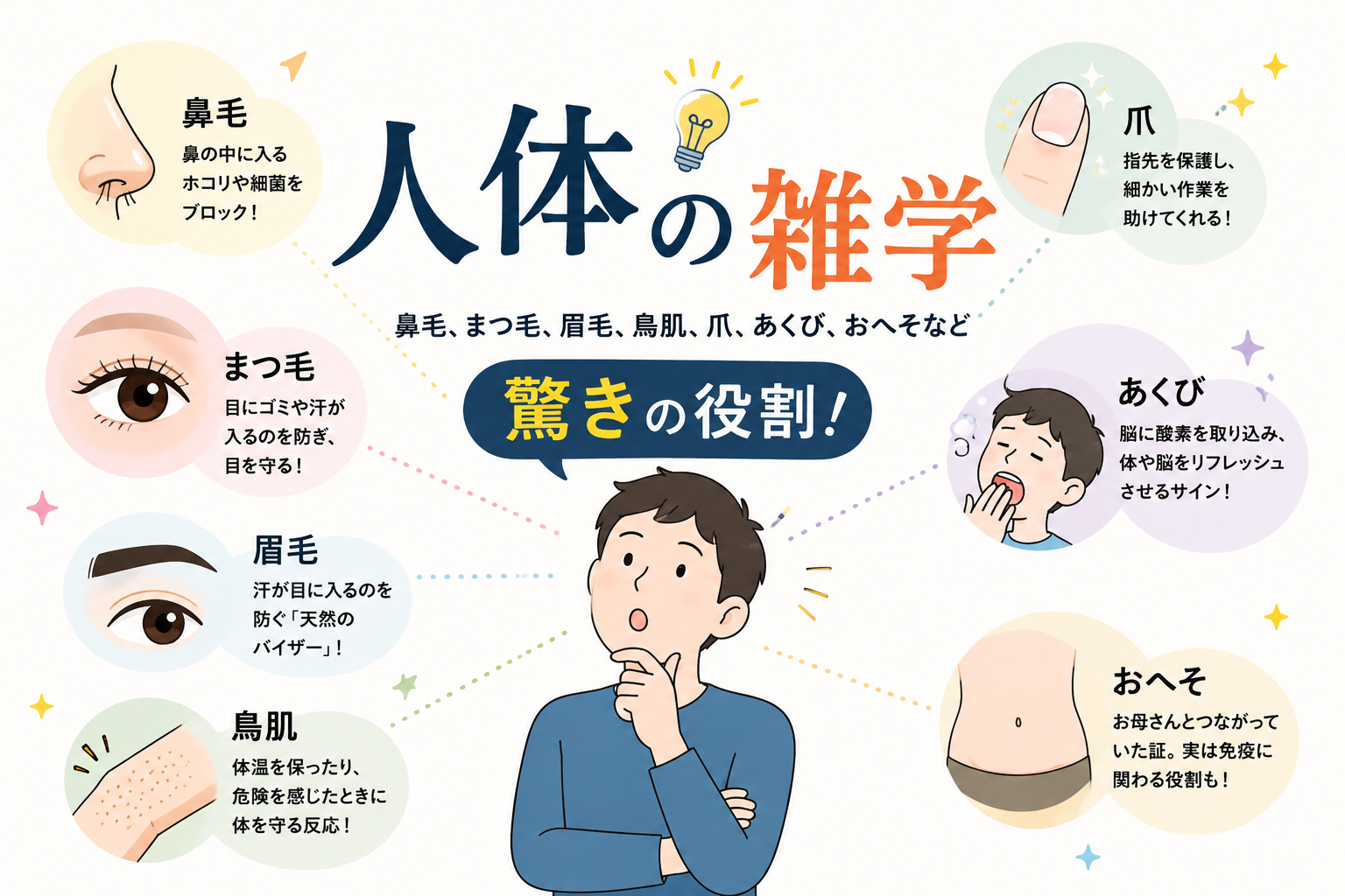 身体の雑学