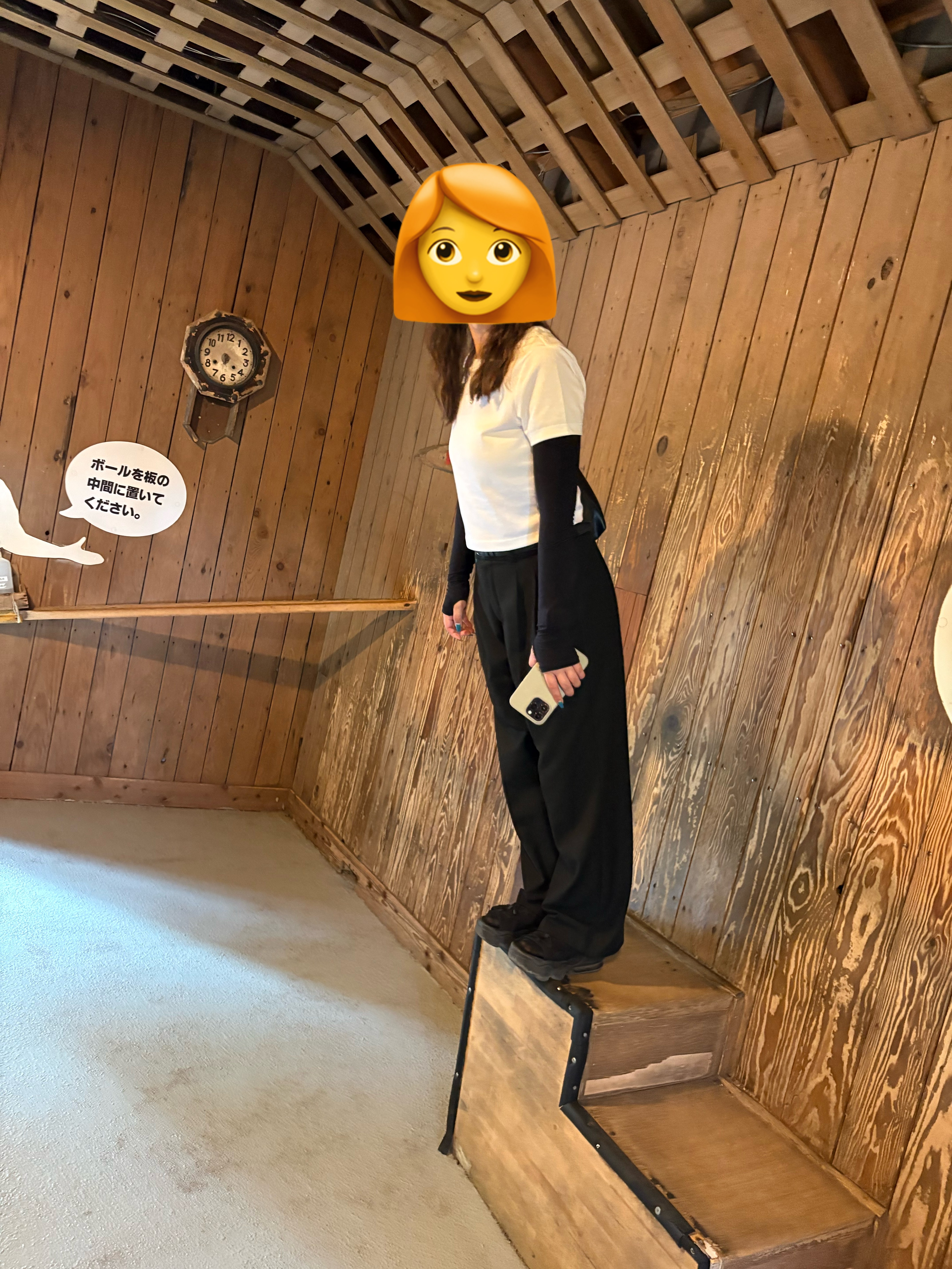 エネルギーランド 傾いた部屋