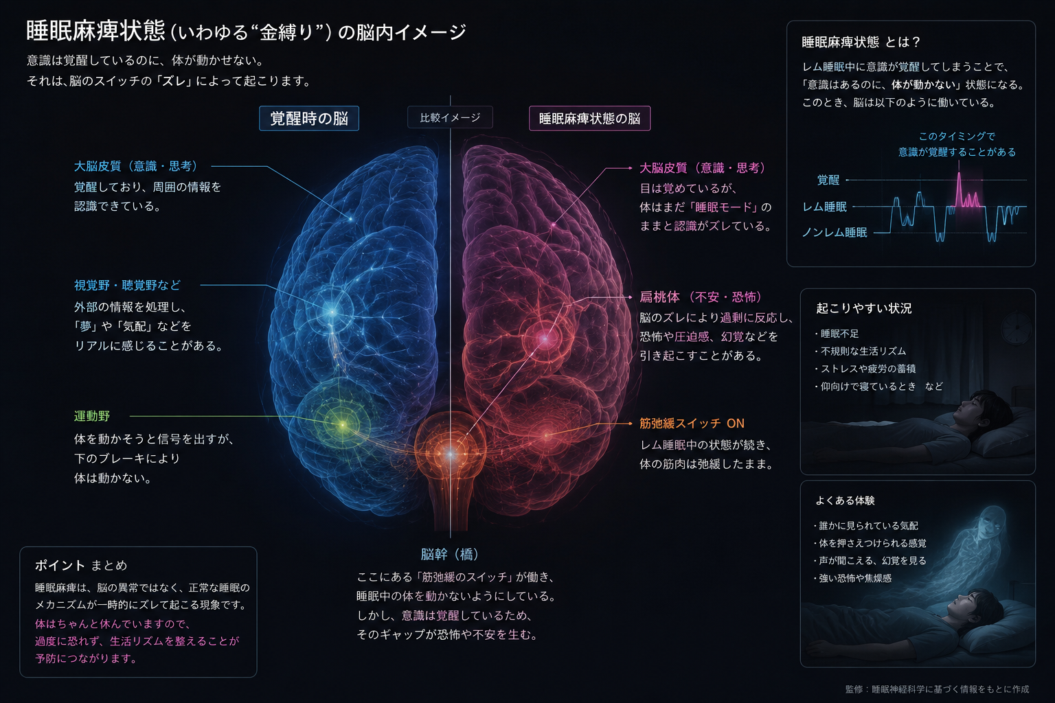 金縛り（睡眠麻痺）の脳内イメージ図解